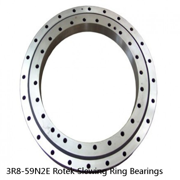 3R8-59N2E Rotek Slewing Ring Bearings