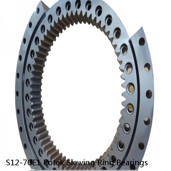 S12-70E1 Rotek Slewing Ring Bearings