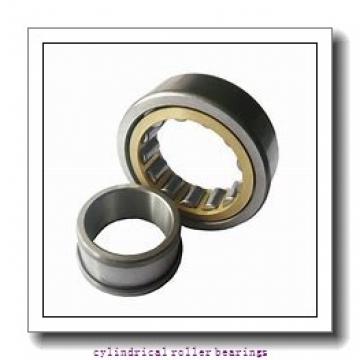 45 mm x 100 mm x 36 mm  FAG NUP2309-E-TVP2 Cylindrical Roller Bearings