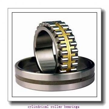 160 mm x 290 mm x 48 mm  FAG NJ232-E-M1 Cylindrical Roller Bearings