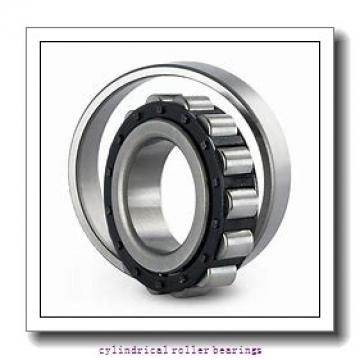 55 mm x 120 mm x 43 mm  FAG NUP2311-E-TVP2 Cylindrical Roller Bearings