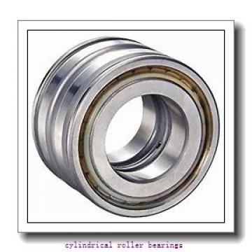 220 mm x 400 mm x 65 mm  FAG NUP244-E-M1 Cylindrical Roller Bearings