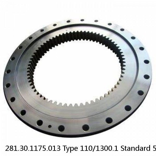 281.30.1175.013 Type 110/1300.1 Standard 5 Slewing Ring Bearings #1 small image