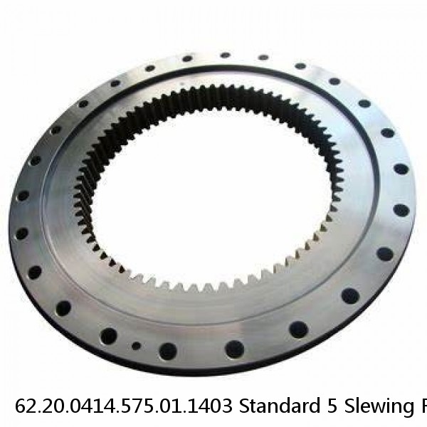 62.20.0414.575.01.1403 Standard 5 Slewing Ring Bearings