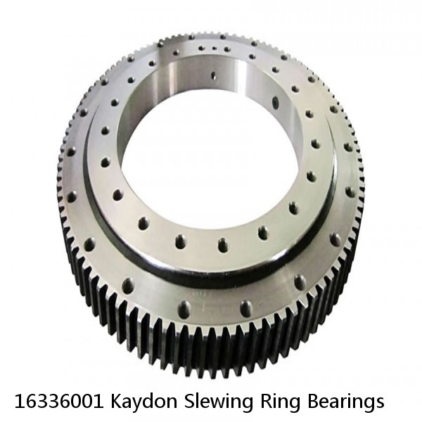 16336001 Kaydon Slewing Ring Bearings