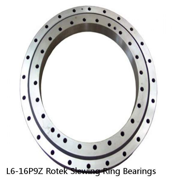 L6-16P9Z Rotek Slewing Ring Bearings #1 small image