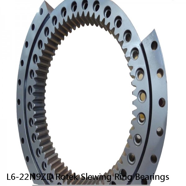 L6-22N9ZD Rotek Slewing Ring Bearings #1 small image