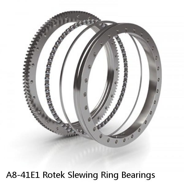 A8-41E1 Rotek Slewing Ring Bearings #1 small image