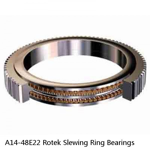 A14-48E22 Rotek Slewing Ring Bearings