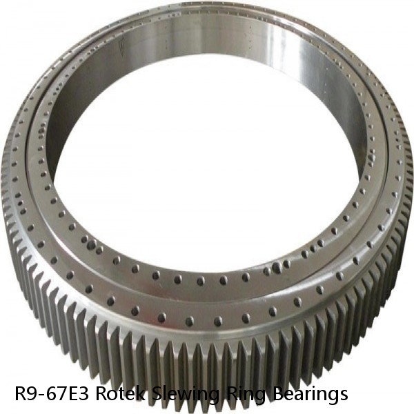 R9-67E3 Rotek Slewing Ring Bearings #1 small image