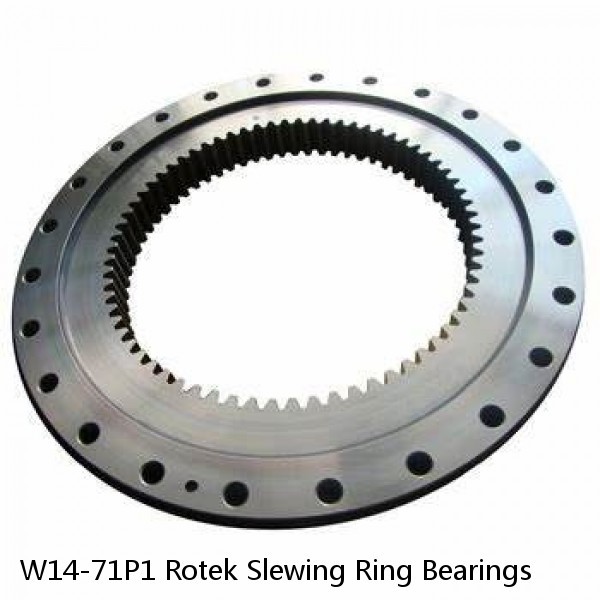 W14-71P1 Rotek Slewing Ring Bearings #1 small image