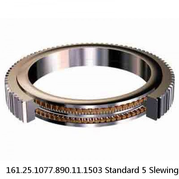 161.25.1077.890.11.1503 Standard 5 Slewing Ring Bearings #1 small image