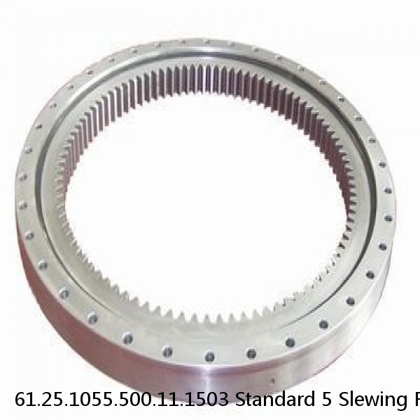 61.25.1055.500.11.1503 Standard 5 Slewing Ring Bearings #1 small image
