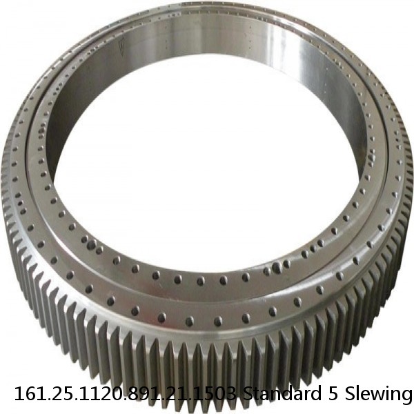 161.25.1120.891.21.1503 Standard 5 Slewing Ring Bearings #1 small image