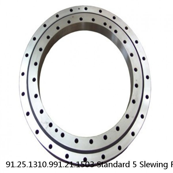 91.25.1310.991.21.1503 Standard 5 Slewing Ring Bearings #1 small image