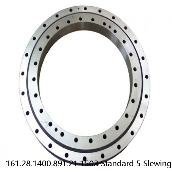 161.28.1400.891.21.1503 Standard 5 Slewing Ring Bearings #1 small image