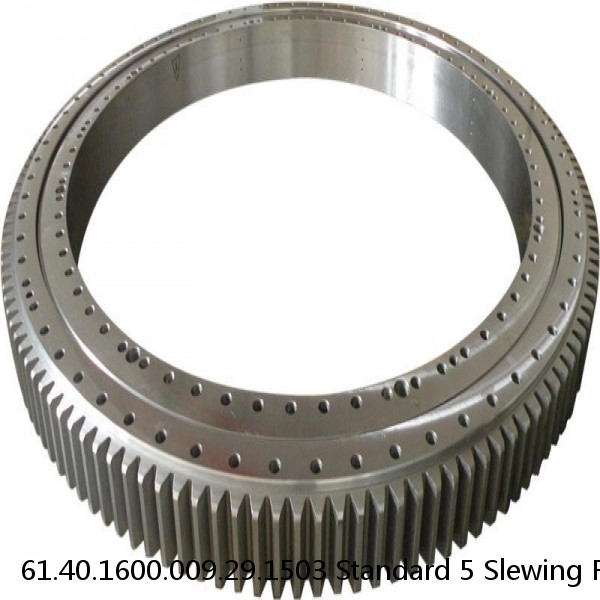 61.40.1600.009.29.1503 Standard 5 Slewing Ring Bearings #1 small image