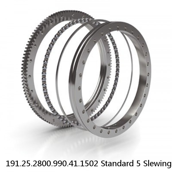 191.25.2800.990.41.1502 Standard 5 Slewing Ring Bearings #1 small image