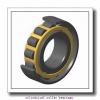 80 mm x 170 mm x 39 mm  FAG NJ316-E-TVP2 Cylindrical Roller Bearings #3 small image