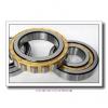 170 mm x 310 mm x 86 mm  FAG NU2234-E-M1 Cylindrical Roller Bearings