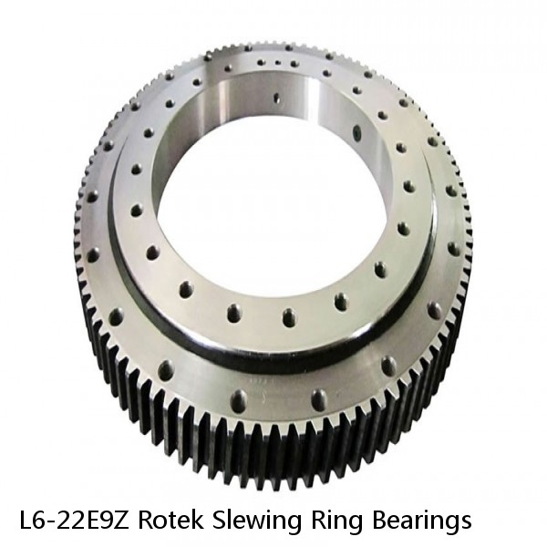 L6-22E9Z Rotek Slewing Ring Bearings #1 image