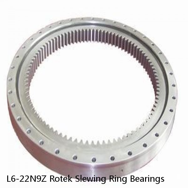 L6-22N9Z Rotek Slewing Ring Bearings #1 image