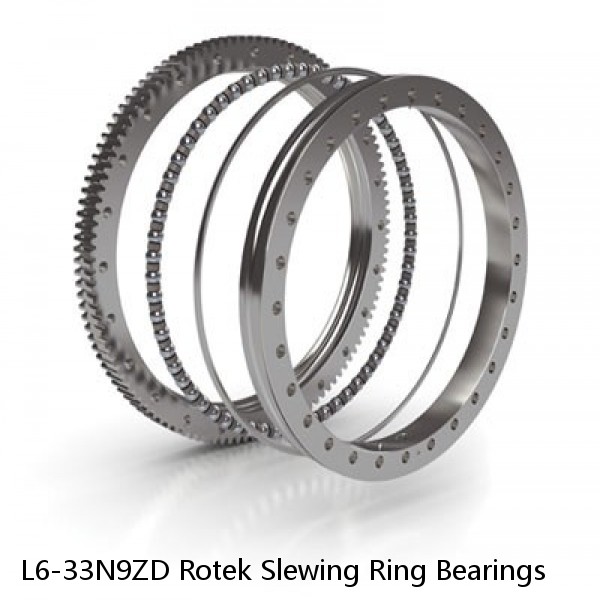 L6-33N9ZD Rotek Slewing Ring Bearings #1 image