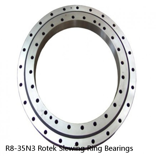R8-35N3 Rotek Slewing Ring Bearings #1 image