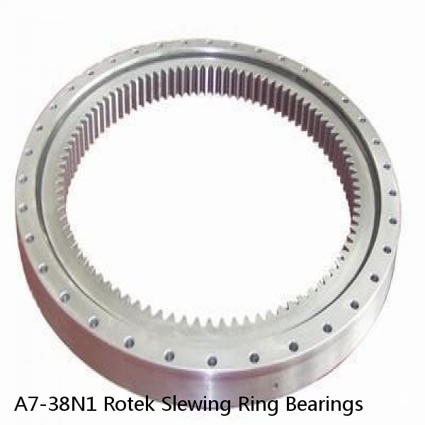 A7-38N1 Rotek Slewing Ring Bearings #1 image