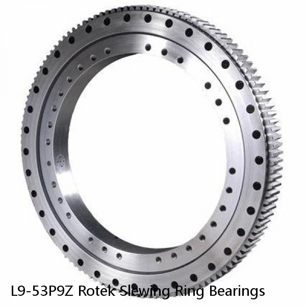 L9-53P9Z Rotek Slewing Ring Bearings #1 image