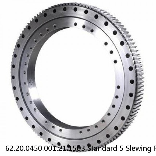 62.20.0450.001.21.1503 Standard 5 Slewing Ring Bearings #1 image