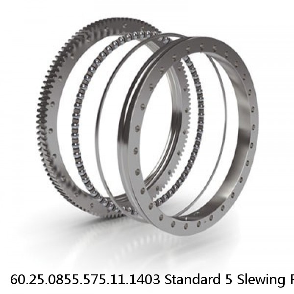 60.25.0855.575.11.1403 Standard 5 Slewing Ring Bearings #1 image