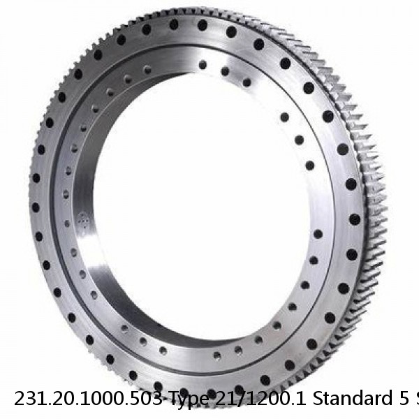 231.20.1000.503 Type 21/1200.1 Standard 5 Slewing Ring Bearings #1 image