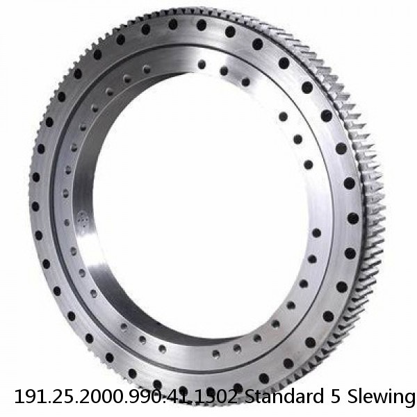 191.25.2000.990.41.1502 Standard 5 Slewing Ring Bearings #1 image
