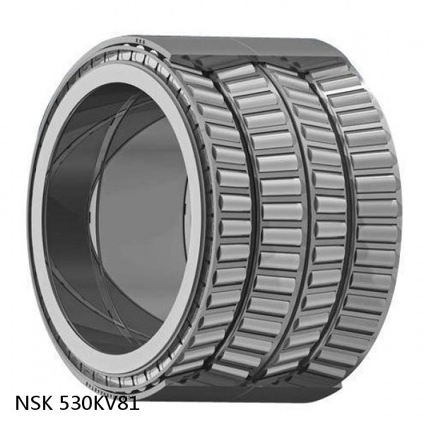 530KV81 NSK Four-Row Tapered Roller Bearing #1 image