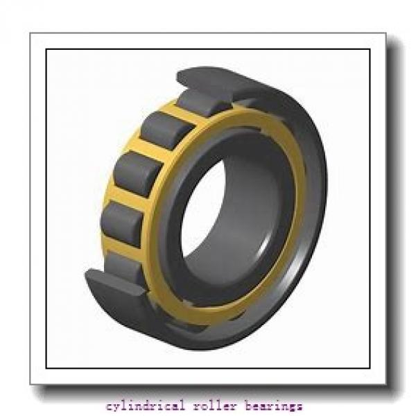 95 mm x 145 mm x 24 mm  FAG NU1019-M1 Cylindrical Roller Bearings #1 image