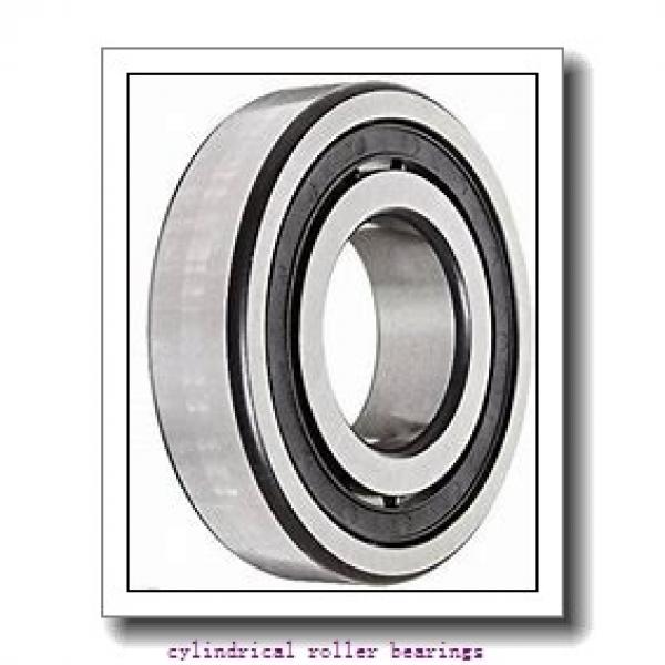 220 mm x 400 mm x 65 mm  FAG NUP244-E-M1 Cylindrical Roller Bearings #1 image