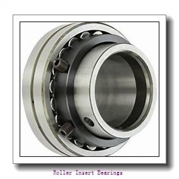 Sealmaster RCI 107 Roller Insert Bearings #2 image