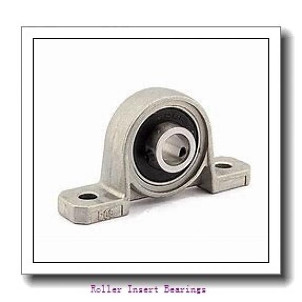 Sealmaster ERCI 200 Roller Insert Bearings #1 image
