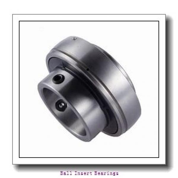 Link-Belt ER24-NFF Ball Insert Bearings #1 image