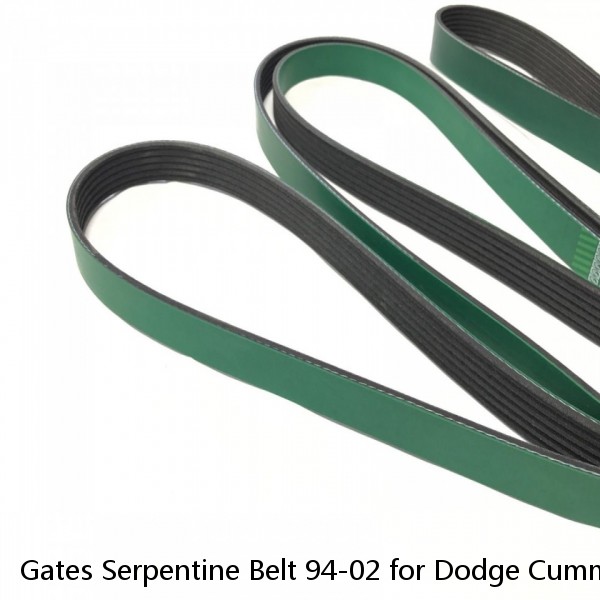 Gates Serpentine Belt 94-02 for Dodge Cummins Diesel 5.9L Diesel W/ AC ONLY #1 image