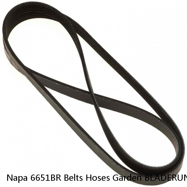 Napa 6651BR Belts Hoses Garden BLADERUNNER Lawn & Garden Belts #1 image